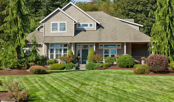 Lawn Care in the Spring keeps your yard lush and green in East Brookfield, MA